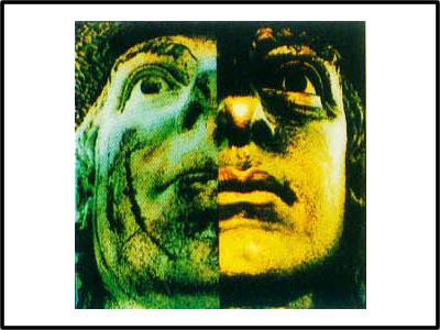 ³ÇÊÐ¡¢Ô°ÁÖ¡¢µñËÜ¡¢ÄÚÍâÇ½¡¢µØÃæµÄÇåÏ´